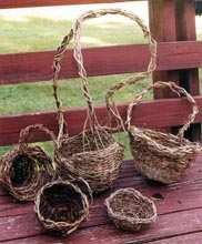 honeysuckle baskets by Pamela