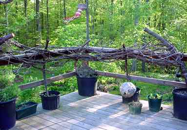 woven vine railing on Nancy's back deck