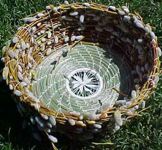 Jeanne Williams, Pussy Willow Basket
